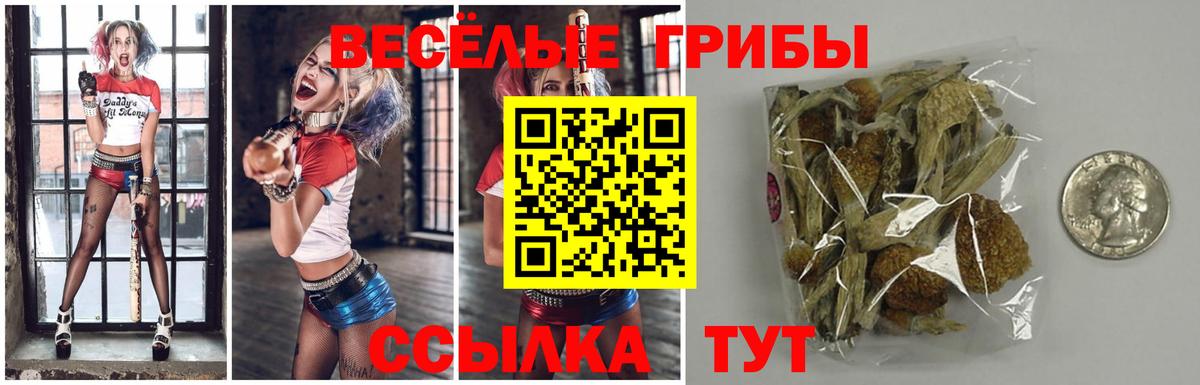 Псилоцибиновые грибы ЛСД Кудымкар